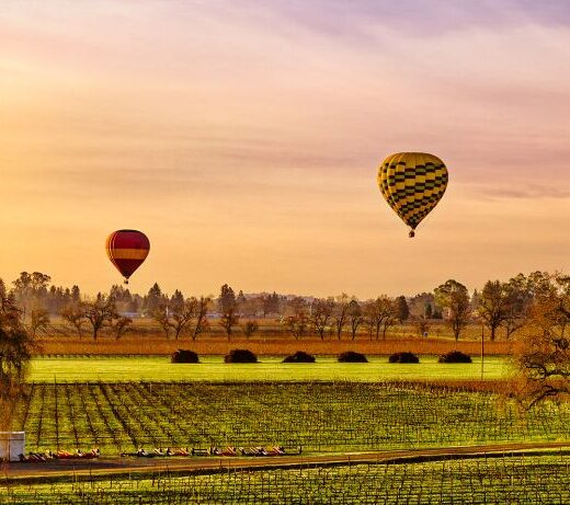 hot air balloons